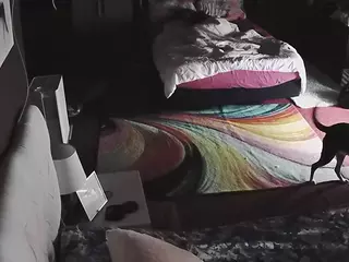 Sexy Girls Room's Live Sex Cam Show