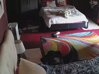 Sexy Girls Room's Live Sex Cam Show