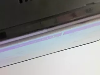 DANA's Live Sex Cam Show