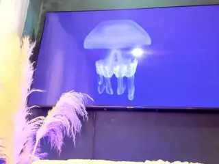 catrinasherman's Live Sex Cam Show