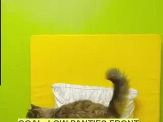 Roxy's Live Sex Cam Show