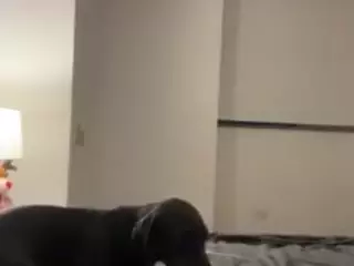 Andrea's Live Sex Cam Show