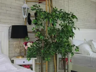 Emilly Bronte's Live Sex Cam Show