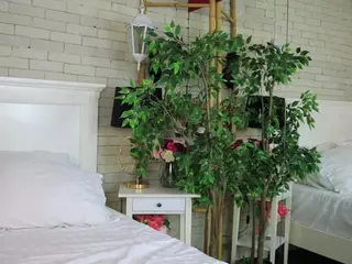 Emilly Bronte's Live Sex Cam Show