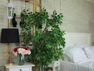 Emilly Bronte's Live Sex Cam Show