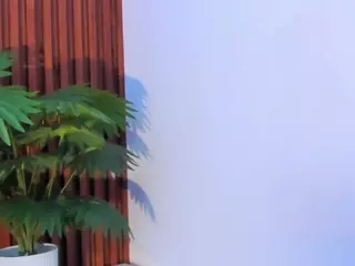 bellaebony21's Live Sex Cam Show