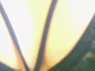 nidhilove's Live Sex Cam Show