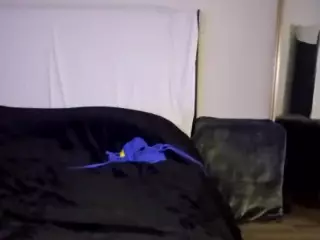 jasmin20's Live Sex Cam Show