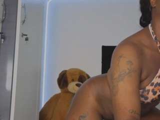 Live cam show with ashantie-millerk