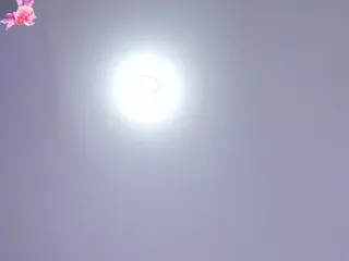 April Adamson's Live Sex Cam Show