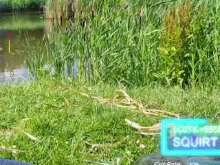 SansaStaark's Live Sex Cam Show