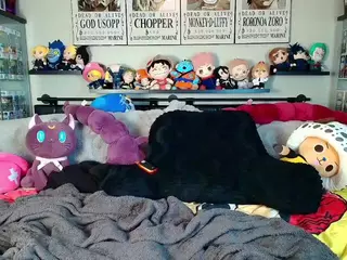 Ari The Don's Live Sex Cam Show
