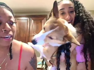 Ari The Don's Live Sex Cam Show