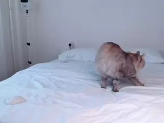 StarMilkyWay's Live Sex Cam Show