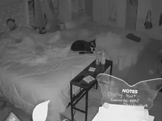 voyeurcam house charleys room's Live Sex Cam Show