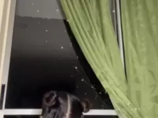 samarha Gomez's Live Sex Cam Show