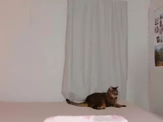 Mocha Kaia's Live Sex Cam Show