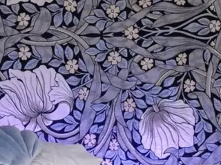 Alternative Ava's Live Sex Cam Show