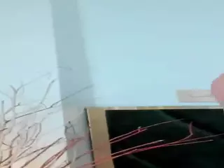 AlisaFox's Live Sex Cam Show