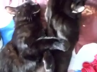 Randcandy77's Live Sex Cam Show