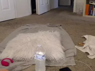 Elegance's Live Sex Cam Show