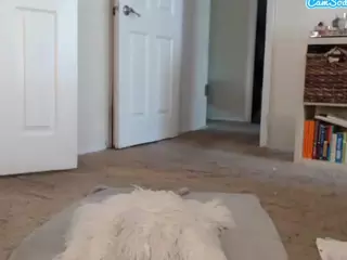 Elegance's Live Sex Cam Show