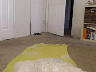 Elegance's Live Sex Cam Show