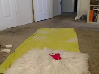 Elegance's Live Sex Cam Show