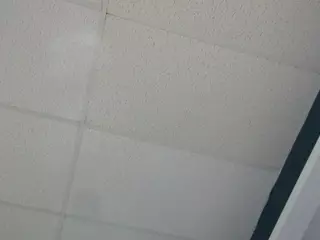 itstaylorofficial's Live Sex Cam Show
