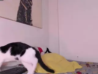 Melody_Petite's Live Sex Cam Show