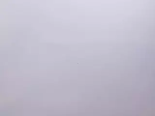 Carla's Live Sex Cam Show