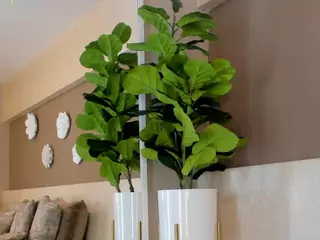 Aylin Millerxs's Live Sex Cam Show