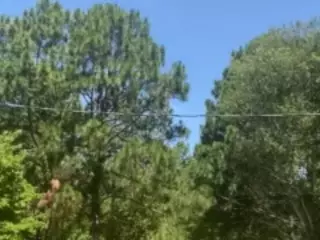 PartyyTripleX's Live Sex Cam Show