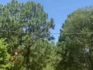 PartyyTripleX's Live Sex Cam Show