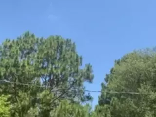 PartyyTripleX's Live Sex Cam Show