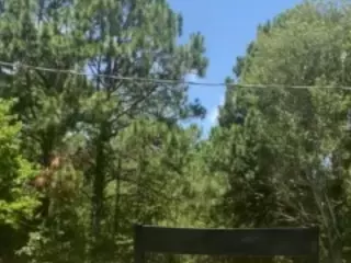 PartyyTripleX's Live Sex Cam Show