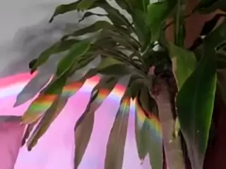 Thalia Fernandez's Live Sex Cam Show
