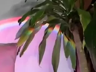 Thalia Fernandez's Live Sex Cam Show