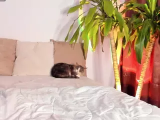 Thalia Fernandez's Live Sex Cam Show