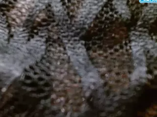 bethanywilson22's Live Sex Cam Show