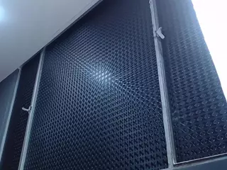 mary's Live Sex Cam Show