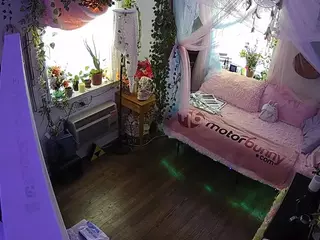 voyeurcam veccasalt 01's Live Sex Cam Show