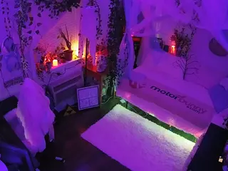 voyeurcam veccasalt 01's Live Sex Cam Show