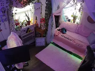 voyeurcam veccasalt 01's Live Sex Cam Show