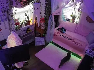 voyeurcam veccasalt 01's Live Sex Cam Show