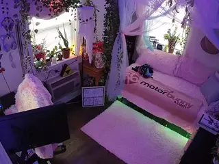 voyeurcam veccasalt 01's Live Sex Cam Show