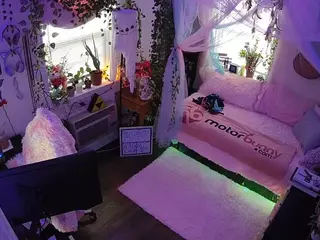 voyeurcam veccasalt 01's Live Sex Cam Show