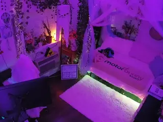 voyeurcam veccasalt 01's Live Sex Cam Show