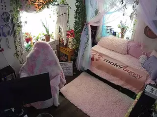 voyeurcam veccasalt 01's Live Sex Cam Show