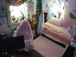 voyeurcam veccasalt 01's Live Sex Cam Show